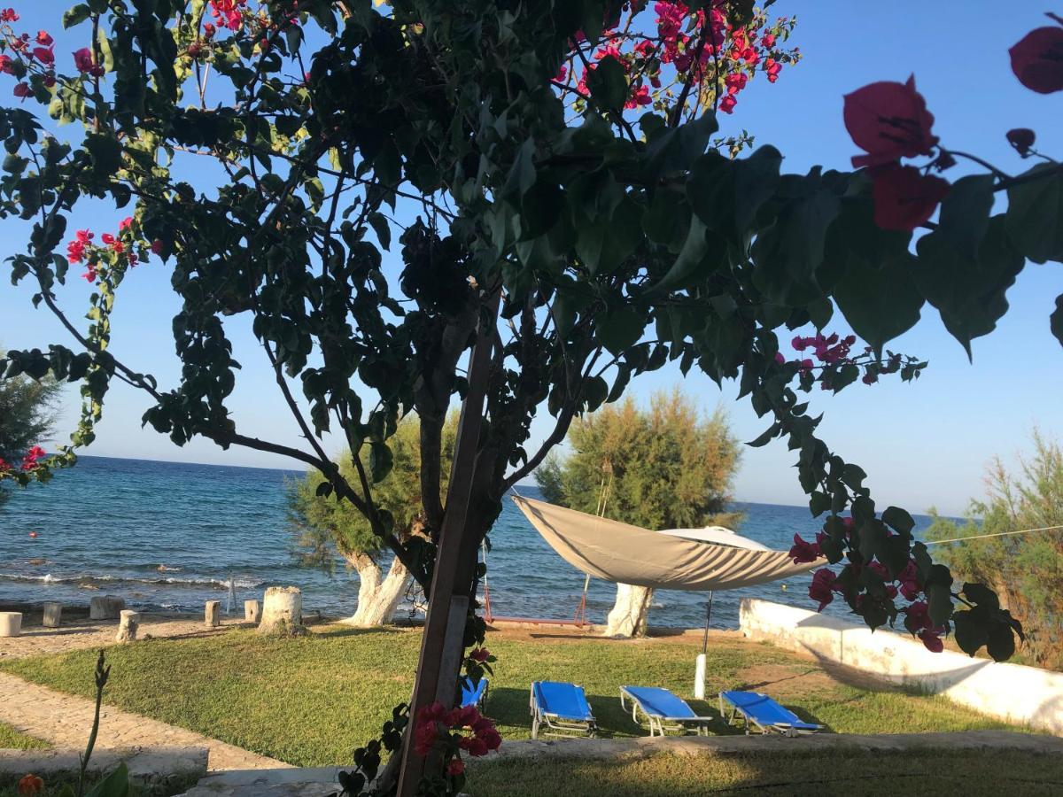 Diomare Villas Kypseli ภายนอก รูปภาพ