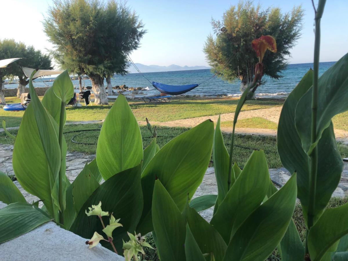 Diomare Villas Kypseli ภายนอก รูปภาพ